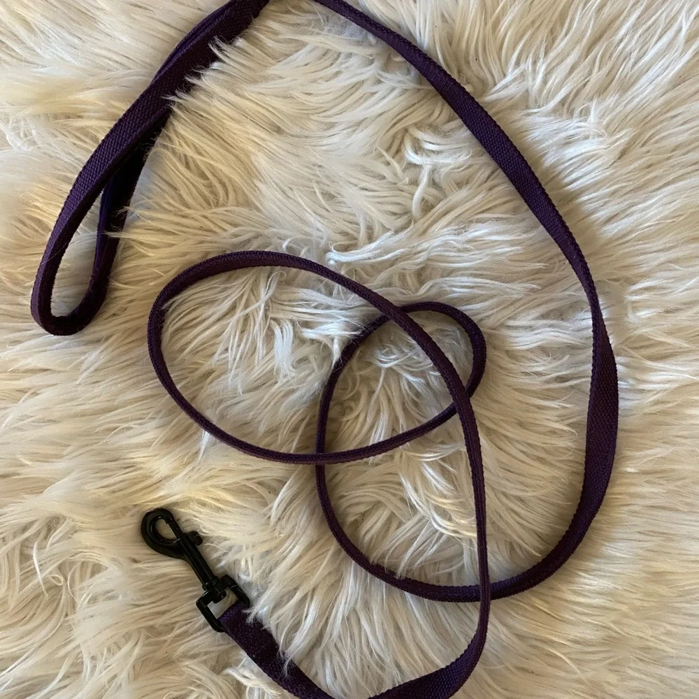 Basic purple pet leash